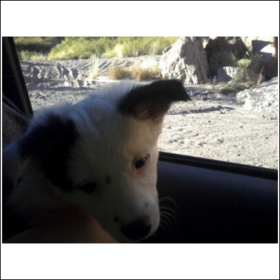 Osa takes the window seat