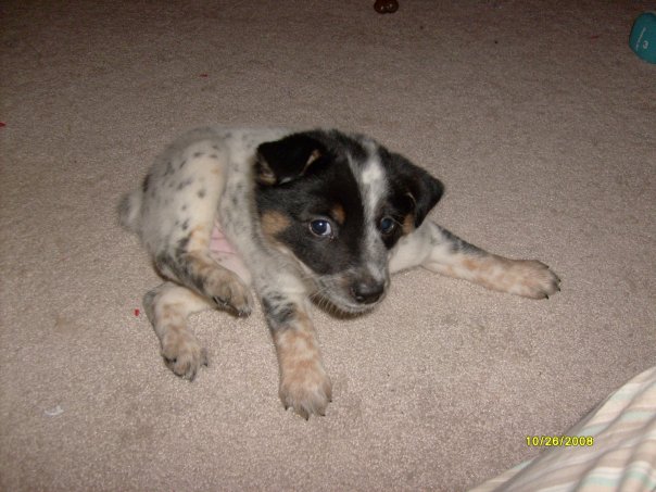 Sydney's first day home