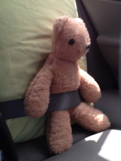 Cootie moves to California